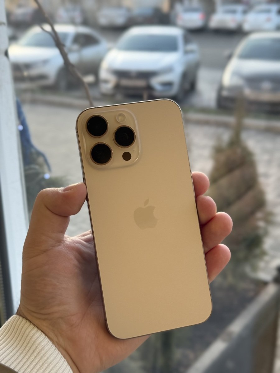 16 про Макс 256 desert