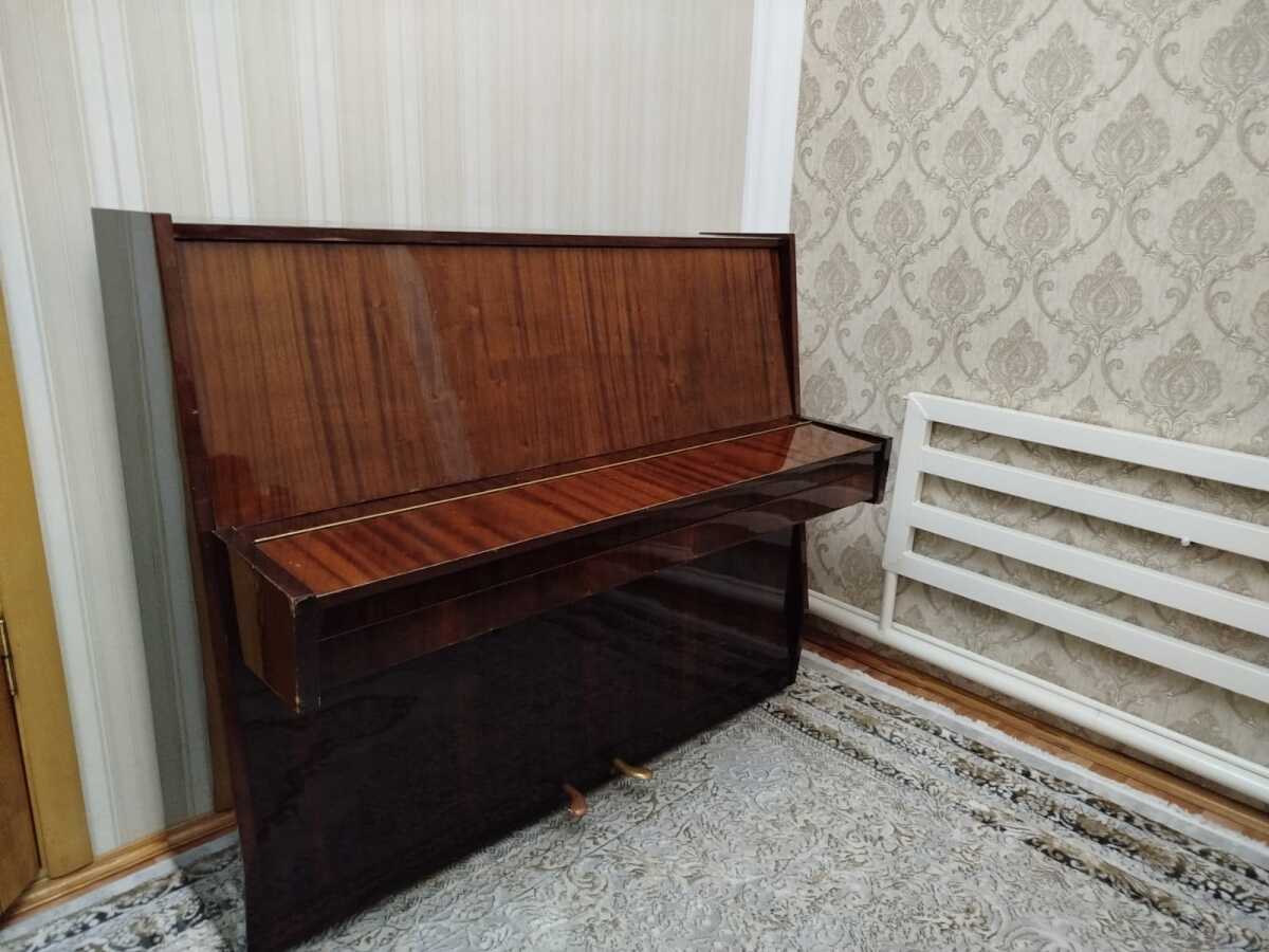 Кубань  пионина