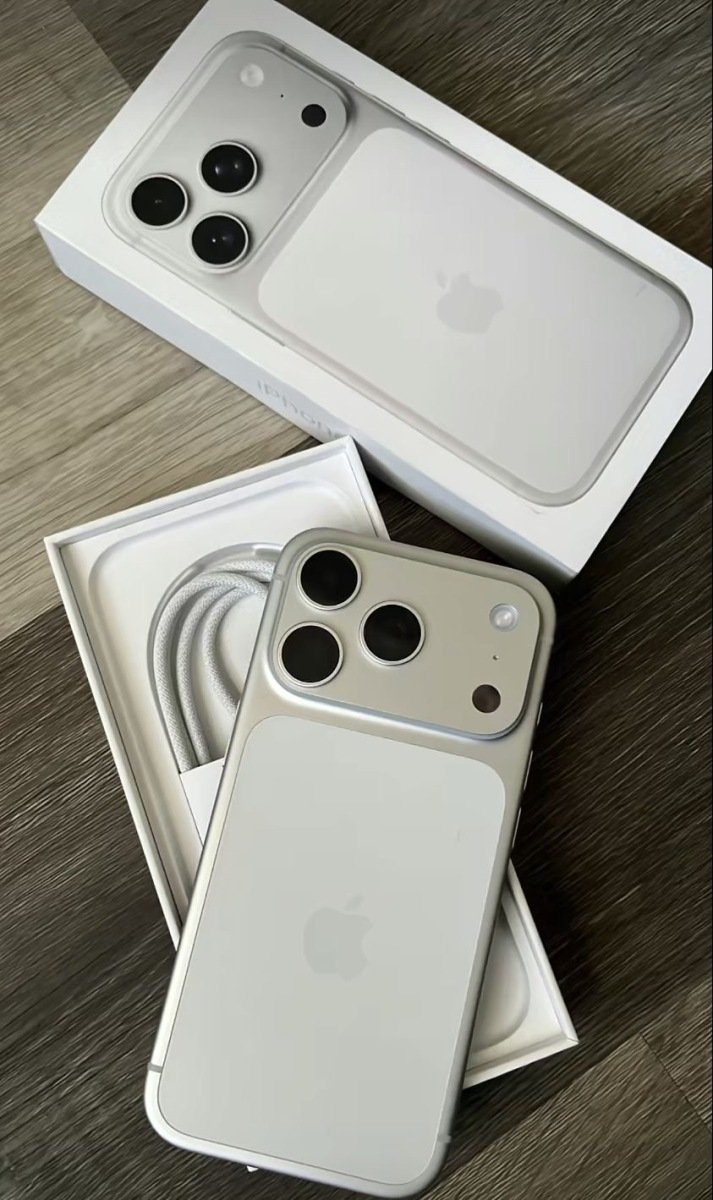 iPhone 17 Pro 256 Silver