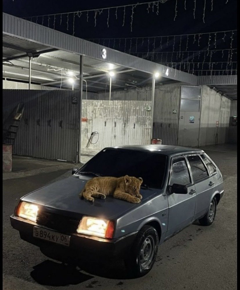 Ас салам Алейкум варахьматуллахь