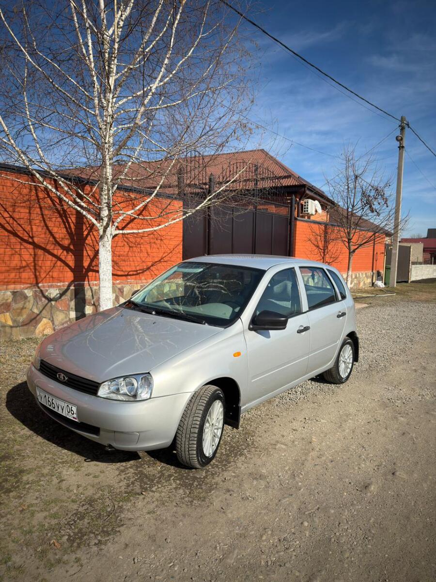 Дзауров 313995