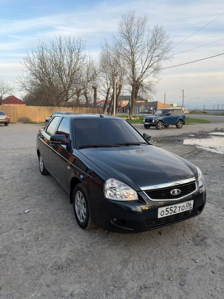 Дзауров 313995