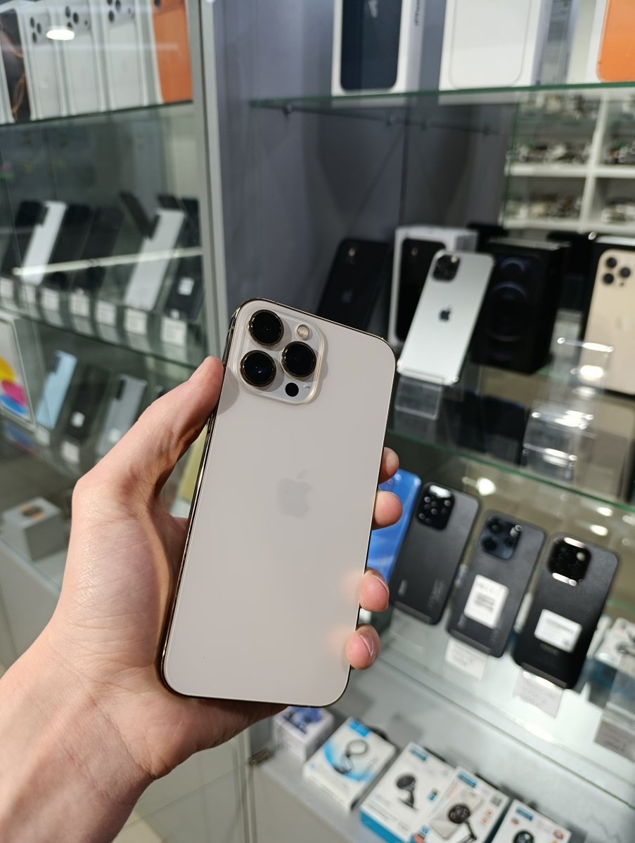 iPhone 13 Pro Max