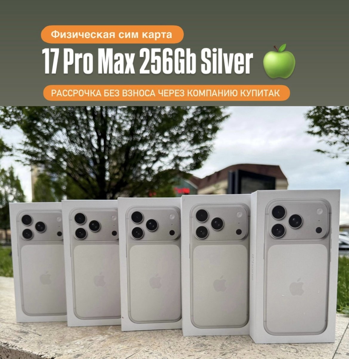 iPhone 17 Pro Max 256Gb Silver 🍏 Новый